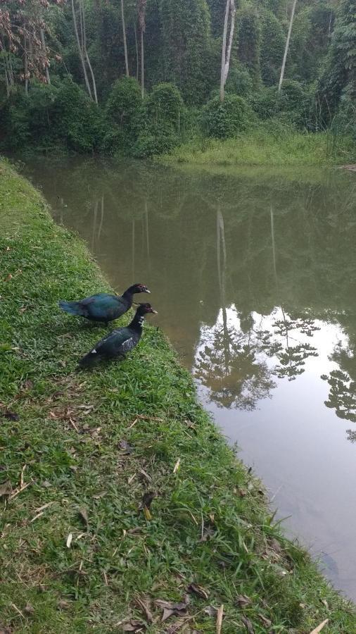 Casa De Campo Rosa Dos Ventos Rodeio Dış mekan fotoğraf